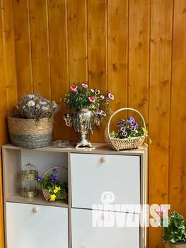 Дом 30м², 1-этажный, посуточно,