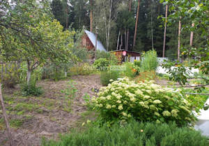 Дом 50м², 1-этажный, участок 7 сот.