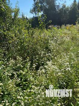 Дом 50м², 2-этажный, участок 10 сот.