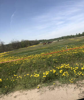 Дом 50м², 1-этажный, участок 6 сот.