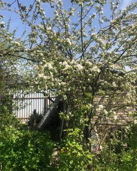 Дом 50м², 1-этажный, участок 6 сот.