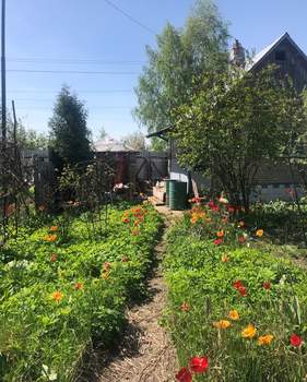 Дом 50м², 1-этажный, участок 6 сот.