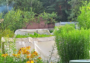 Дом 50м², 1-этажный, участок 7 сот.