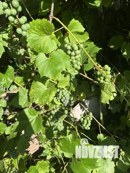 Дом 90м², 2-этажный, участок 11 сот.