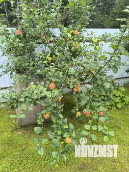 Дом 111м², 2-этажный, участок 10 сот.