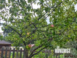 Дом 50м&sup2;, 1-этажный, участок 7 сот.  