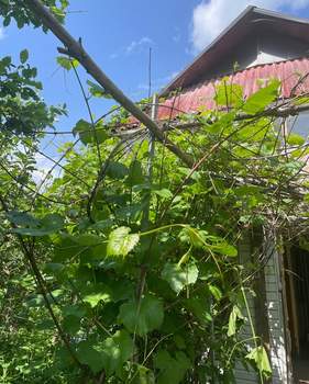 Дом 117м&sup2;, 2-этажный, участок 4 сот.  