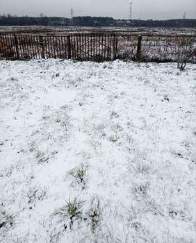 Дом 75м&sup2;, 2-этажный, участок 22 сот.  