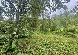 Дом 40м², 2-этажный, участок 8 сот.  