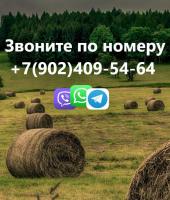 Фото комнаты в аренду (5)