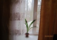 Фото комнаты в аренду (4)