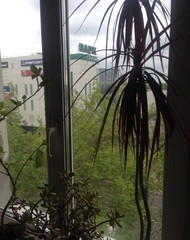 Фото комнаты на продажу (3)