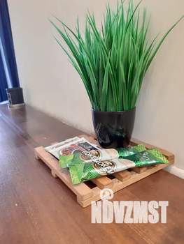 1-к квартира, посуточно, 27м2, 7/10 этаж