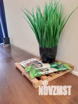 1-к квартира, посуточно, 27м2, 7/10 этаж