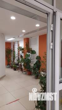 Студия квартира, на длительный срок, 31м2, 12/17 этаж