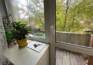 2-к квартира, вторичка, 50м2, 2/4 этаж