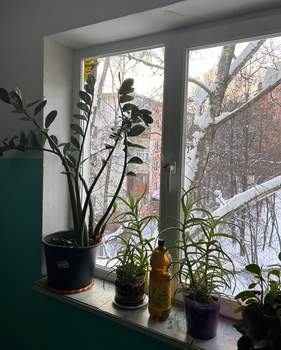 1-к квартира, вторичка, 30м2, 4/5 этаж