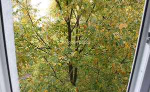 2-к квартира, вторичка, 46м2, 4/5 этаж